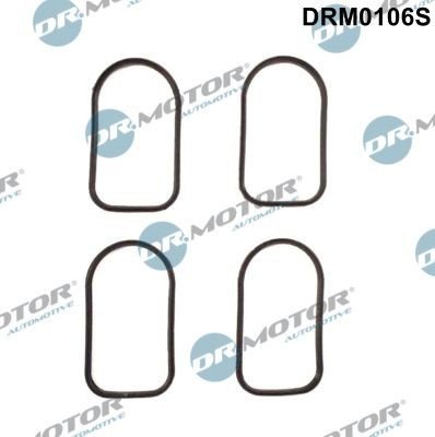 Pakkningssett innsugningsmanifold Dr.Motor Automotive DRM0106S