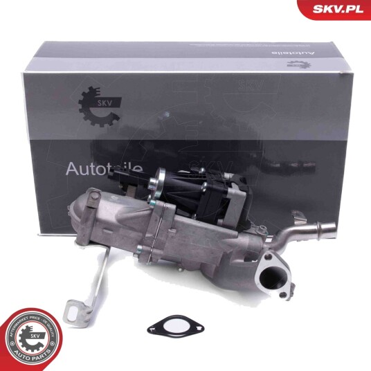 EGR Ventil ESEN SKV 14SKV240