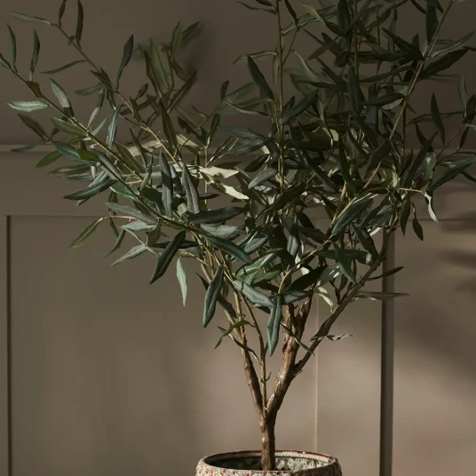 Mr Plant Oliventre 100 cm Mr Plant Oliventre 100 cm
