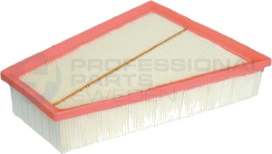 Luftfilter Professional Parts 24430955
