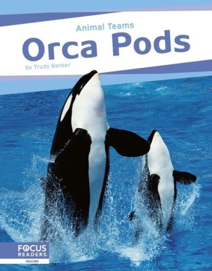 Orca Pods Orca Pods