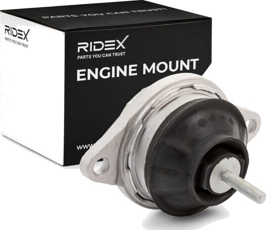 RIDEX 247E0341 Motorfeste