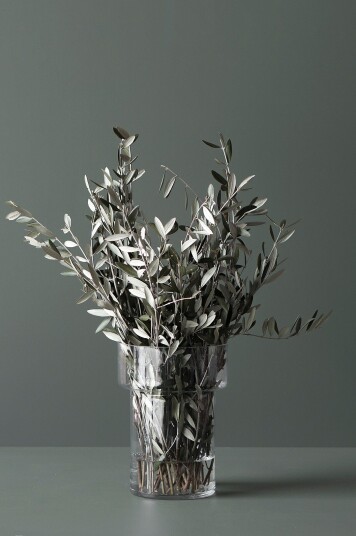 DBKD Glassvase Keeper large Transparent DBKD Glassvase Keeper large Transparent