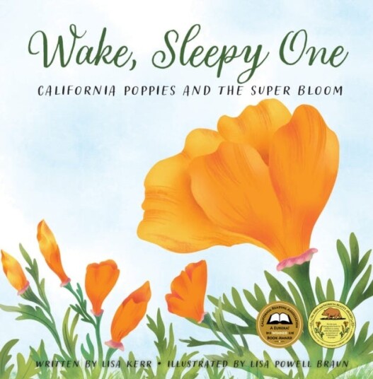 Wake, Sleepy One California Poppies and the Super Bloom