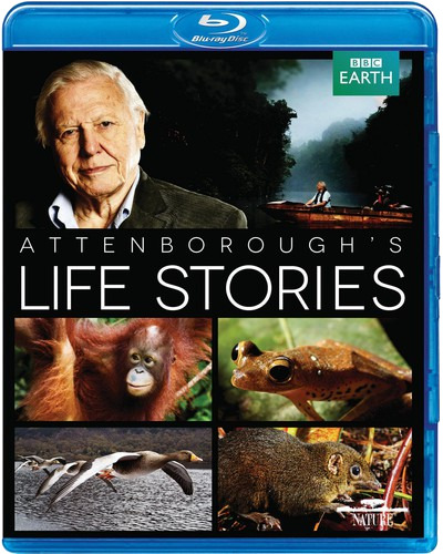 Life Stories Bluray
