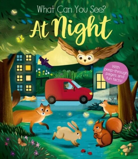 What Can You See At Night? Av Kate Ware