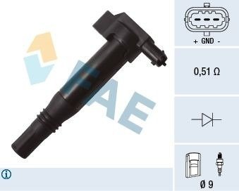 Tennspole FAE 80273