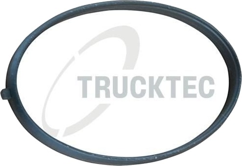 Tetning, innsugningsmanifold TRUCKTEC AUTOMOTIVE 02.16.055