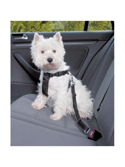 Trixie Car harness XS: 2050 cm/15 mm black