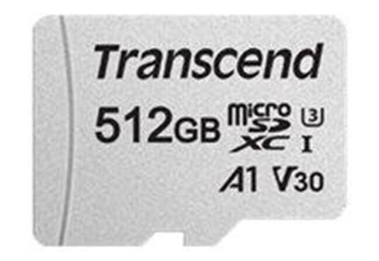 Transcend 300S