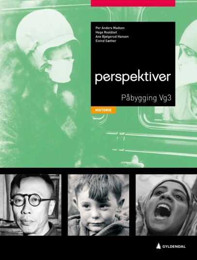 Perspektiver Av Ane Bjølgerud Hansen, Inger Hilde Killerud, Per Anders Madsen, Hege Roaldset, Eivind Sæther
