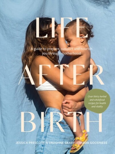 Life After Birth A Guide to Prepare, Support and Nourish You Through Motherhood Life After Birth A Guide to Prepare, Support and Nourish You Through Motherhood