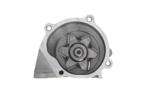 VALEO 529365 Vannpumpe