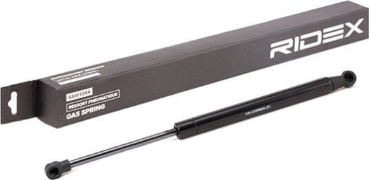 RIDEX 219G0777 Baklukedemper