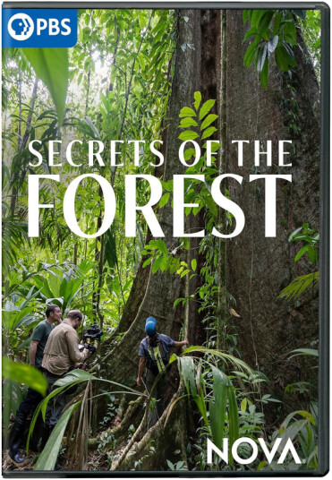 NOVA: Secrets of the Forest DVD