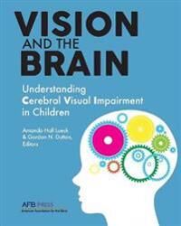 Vision And The Brain