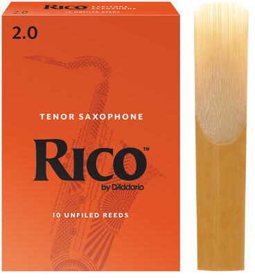 Daddario Woodwinds Rico Baritone Sax 2