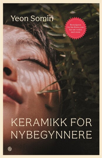 Keramikk for nybegynnere Keramikk for nybegynnere