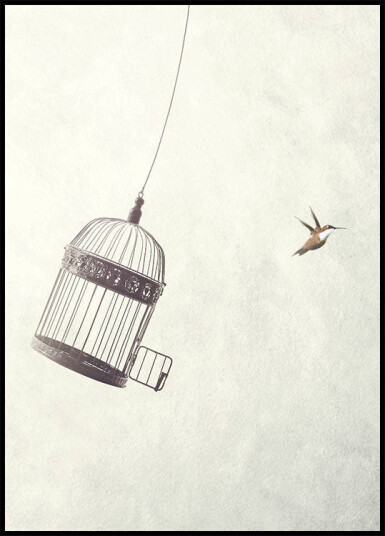 Flying Towards Freedom Plakat Plakat / 30x40cm