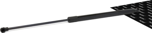 RIDEX 219G0229 Baklukedemper