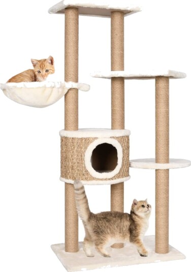 Vidaxl Kattetre Med Klorestolpe 126 cm SjĂžgress Vidaxl Kattetre Med Klorestolpe 126 cm SjĂžgress
