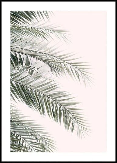 Blush Palm Leaves Plakat Plakat / 40x50cm