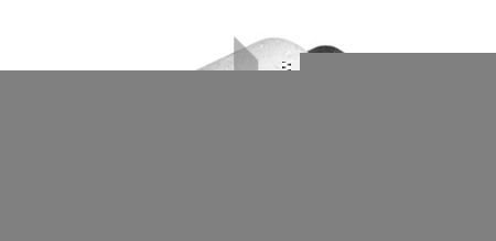 Feste, styrestag TALOSA 57-10607 Feste, styrestag TALOSA 57-10607