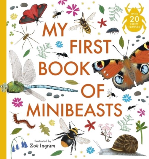My First Book of Minibeasts My First Book of Minibeasts