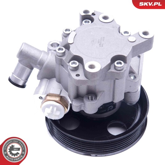 Servopumpe ESEN SKV 10SKV271