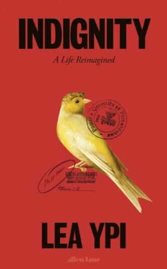 Indignity  A Life Reimagined