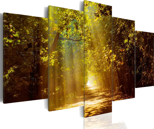 Bilde Forest In The Sunlight 100x50 Artgeist sp. z o. o.