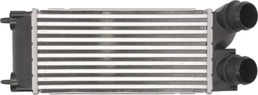 Intercooler THERMOTEC DAP002TT