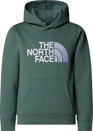 The North Face Drew Peak Hettegenser Barn Grønn 133 141