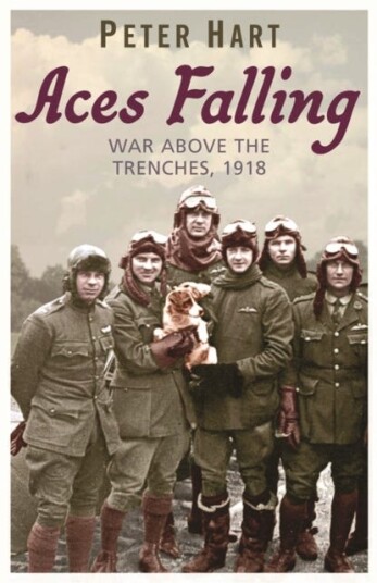 Aces Falling  War Above The Trenches, 1918