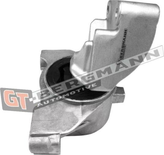 GT BERGMANN GT25 038 Motorfeste