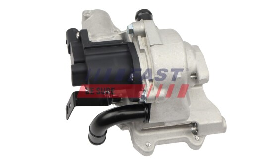 EGR Ventil FAST FT10065