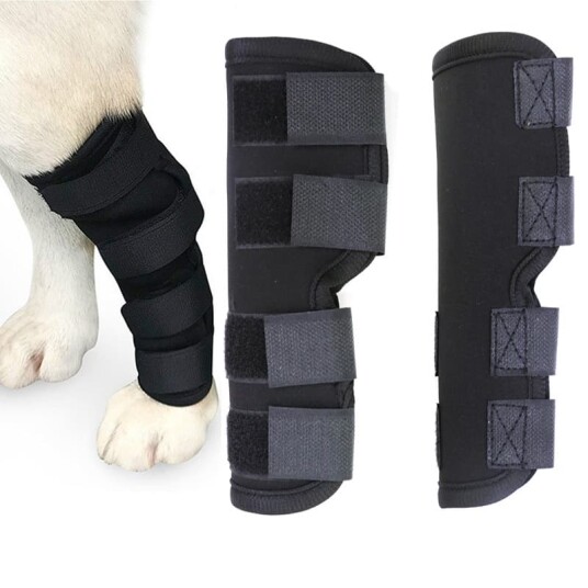 INF Pustende hundebeinseler for ACL leddgikt leddsmerter 0
