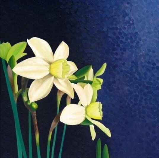 Kort Med Konvolutt Narcissus Kort Med Konvolutt Narcissus