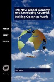 The new global economy and developing countries