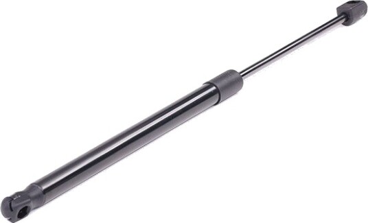 RIDEX 219G0259 Baklukedemper