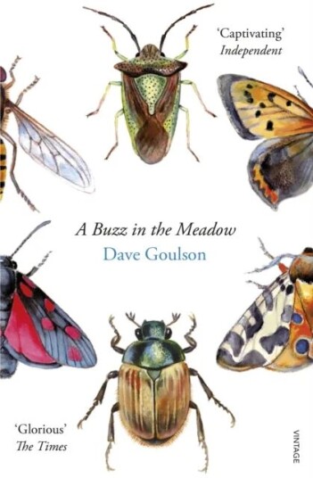A Buzz In The Meadow Av Dave Goulson A Buzz In The Meadow Av Dave Goulson