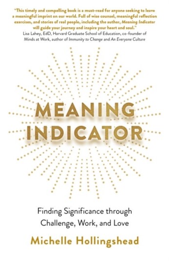 Meaning Indicator Meaning Indicator