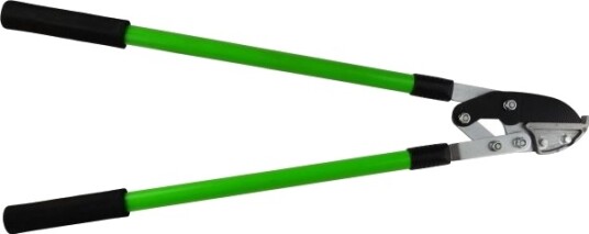 Hagesaks Geko