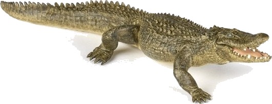 Papo 50254 3 År Wild Animal Kingdom Grønn Pvc