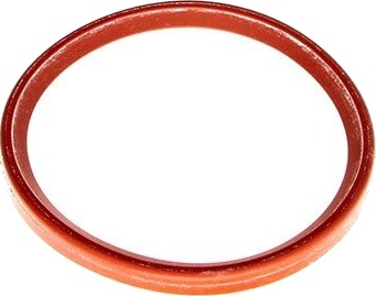 RENAULT 7701071157 Tetningsring, laseluftslange