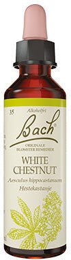 Bach Originale Blomsterremedier Dråper Hestekastanje Bach Originale Blomsterremedier Dråper Hestekastanje
