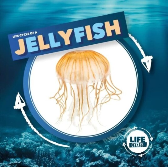 Jellyfish Av Kirsty Holmes