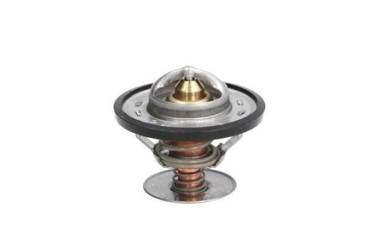 Termostat THERMOTEC D2G001TT