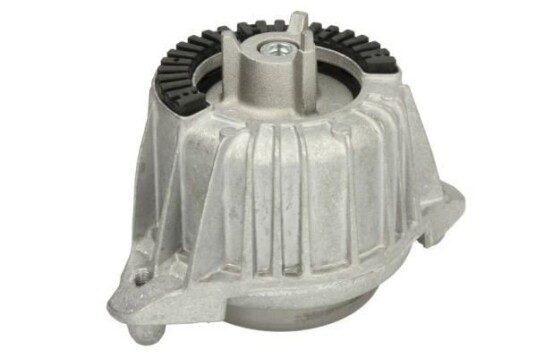 Motorfeste REINHOCH RH11-3108