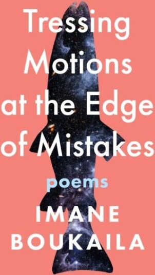 Tressing Motions at the Edge of Mistakes  Poems